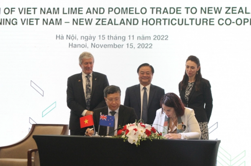 New Zealand opens door for Vietnam’s lime, pomelo